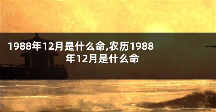 1988年12月是什么命,农历1988年12月是什么命