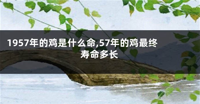 1957年的鸡是什么命,57年的鸡最终寿命多长