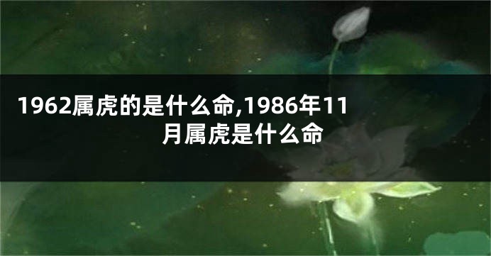 1962属虎的是什么命,1986年11月属虎是什么命