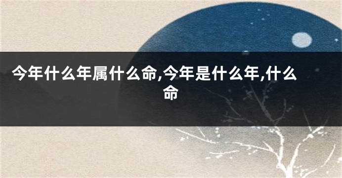 今年什么年属什么命,今年是什么年,什么命