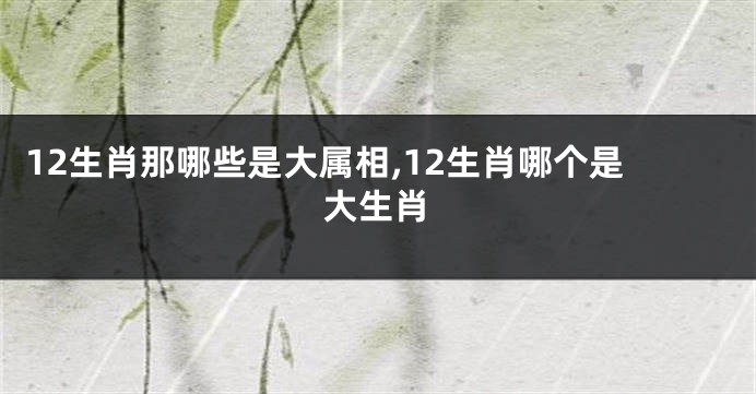 12生肖那哪些是大属相,12生肖哪个是大生肖