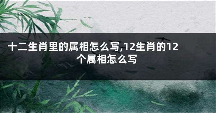 十二生肖里的属相怎么写,12生肖的12个属相怎么写