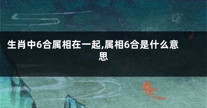 生肖中6合属相在一起,属相6合是什么意思