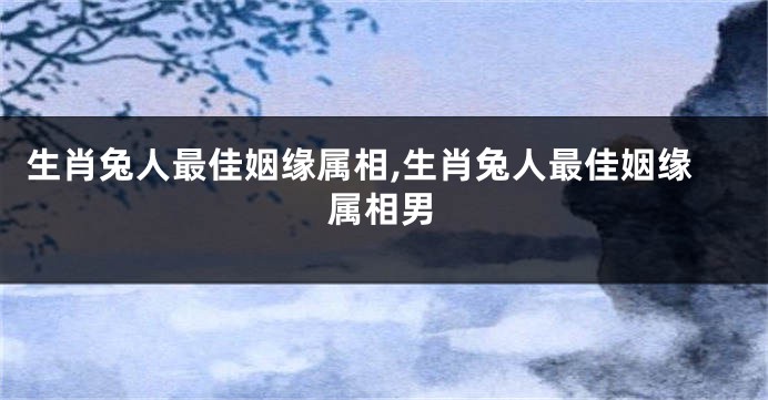 生肖兔人最佳姻缘属相,生肖兔人最佳姻缘属相男