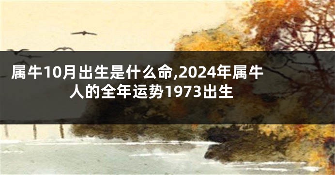 属牛10月出生是什么命,2024年属牛人的全年运势1973出生