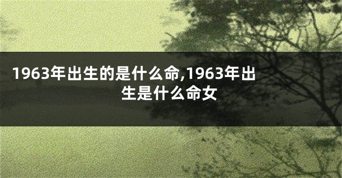 1963年出生的是什么命,1963年出生是什么命女