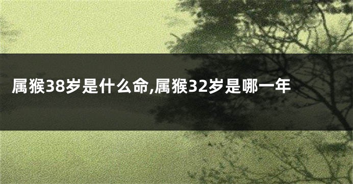 属猴38岁是什么命,属猴32岁是哪一年