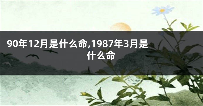 90年12月是什么命,1987年3月是什么命