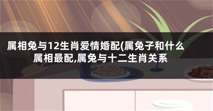 属相兔与12生肖爱情婚配(属兔子和什么属相最配,属兔与十二生肖关系