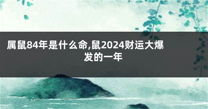 属鼠84年是什么命,鼠2024财运大爆发的一年