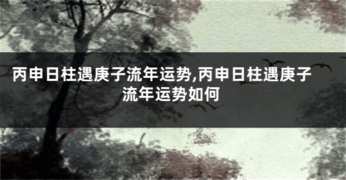 丙申日柱遇庚子流年运势,丙申日柱遇庚子流年运势如何