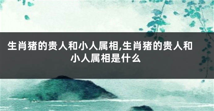 生肖猪的贵人和小人属相,生肖猪的贵人和小人属相是什么