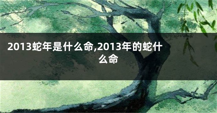 2013蛇年是什么命,2013年的蛇什么命