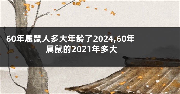 60年属鼠人多大年龄了2024,60年属鼠的2021年多大