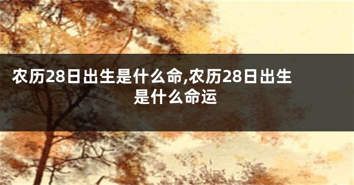 农历28日出生是什么命,农历28日出生是什么命运