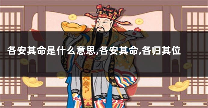 各安其命是什么意思,各安其命,各归其位