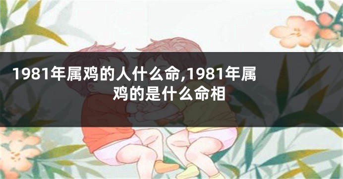 1981年属鸡的人什么命,1981年属鸡的是什么命相