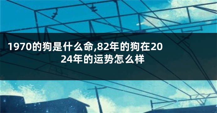 1970的狗是什么命,82年的狗在2024年的运势怎么样