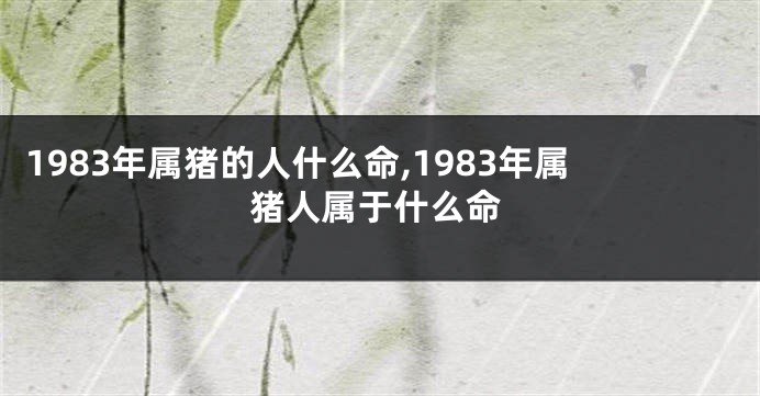 1983年属猪的人什么命,1983年属猪人属于什么命