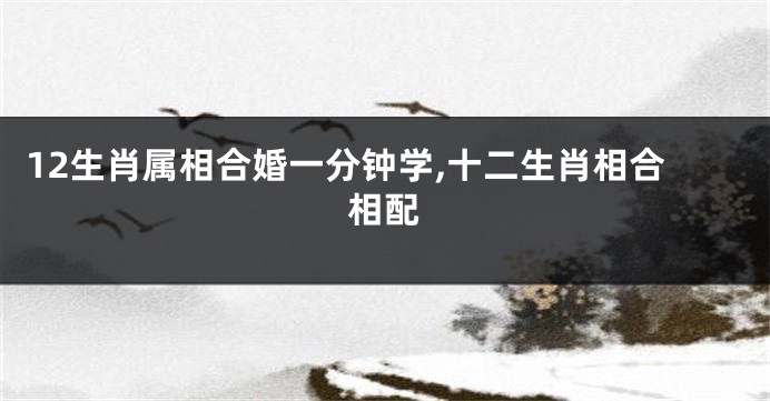 12生肖属相合婚一分钟学,十二生肖相合相配