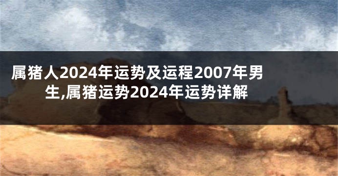 属猪人2024年运势及运程2007年男生,属猪运势2024年运势详解