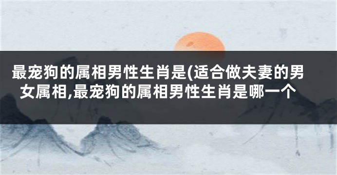 最宠狗的属相男性生肖是(适合做夫妻的男女属相,最宠狗的属相男性生肖是哪一个