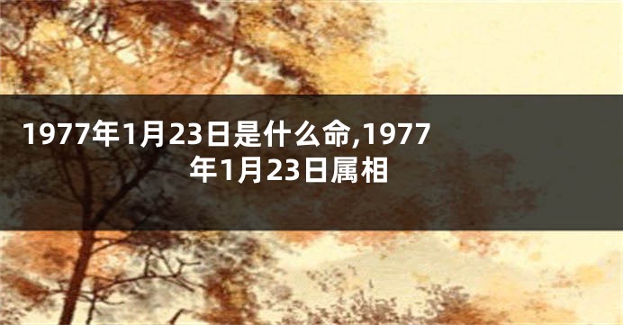 1977年1月23日是什么命,1977年1月23日属相