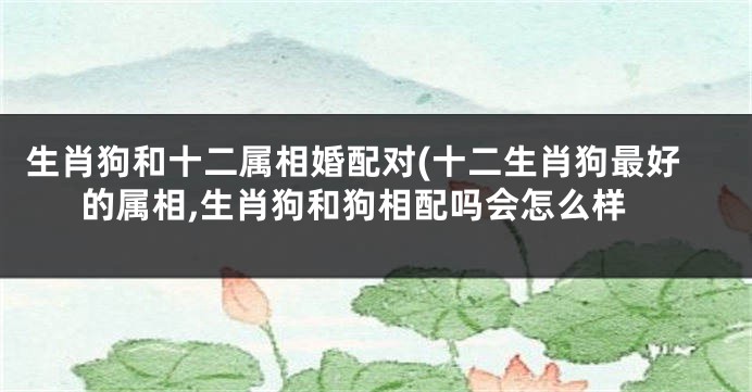 生肖狗和十二属相婚配对(十二生肖狗最好的属相,生肖狗和狗相配吗会怎么样