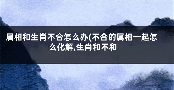 属相和生肖不合怎么办(不合的属相一起怎么化解,生肖和不和