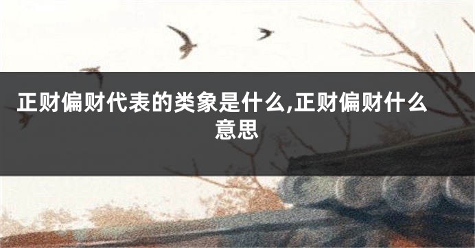 正财偏财代表的类象是什么,正财偏财什么意思