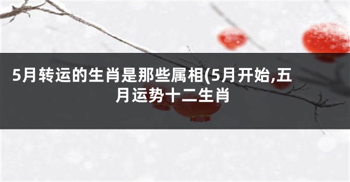 5月转运的生肖是那些属相(5月开始,五月运势十二生肖