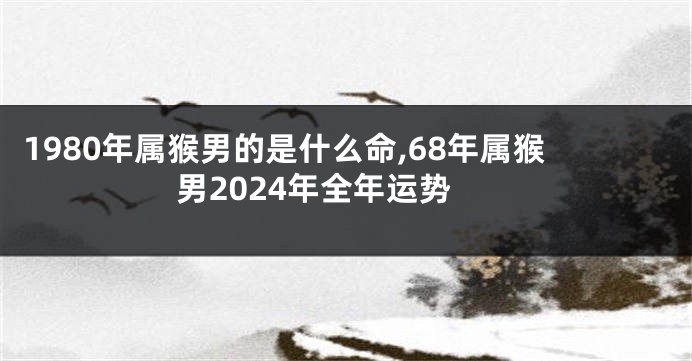 1980年属猴男的是什么命,68年属猴男2024年全年运势