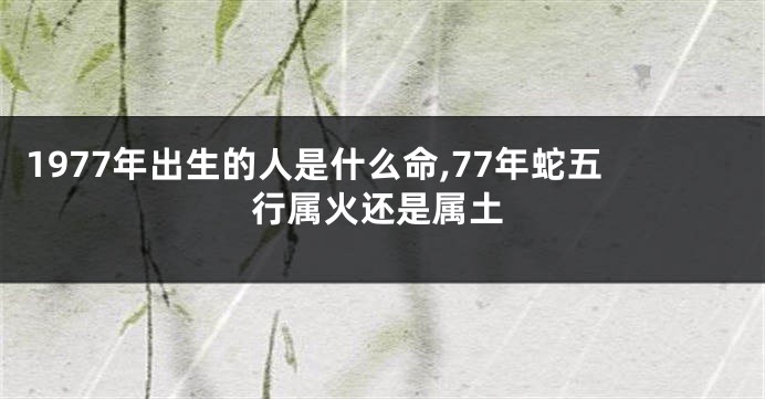 1977年出生的人是什么命,77年蛇五行属火还是属土