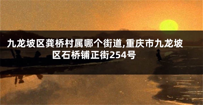 九龙坡区龚桥村属哪个街道,重庆市九龙坡区石桥铺正街254号