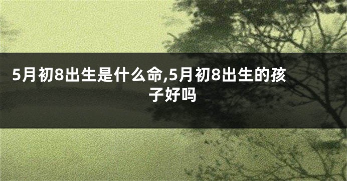 5月初8出生是什么命,5月初8出生的孩子好吗