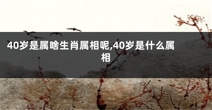 40岁是属啥生肖属相呢,40岁是什么属相