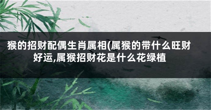 猴的招财配偶生肖属相(属猴的带什么旺财好运,属猴招财花是什么花绿植