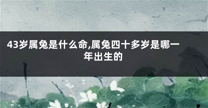 43岁属兔是什么命,属兔四十多岁是哪一年出生的