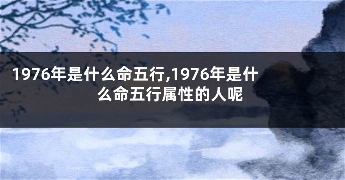 1976年是什么命五行,1976年是什么命五行属性的人呢