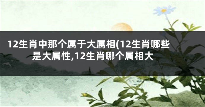 12生肖中那个属于大属相(12生肖哪些是大属性,12生肖哪个属相大