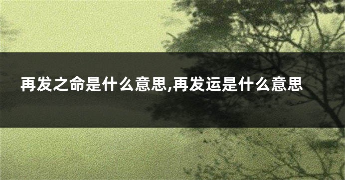 再发之命是什么意思,再发运是什么意思