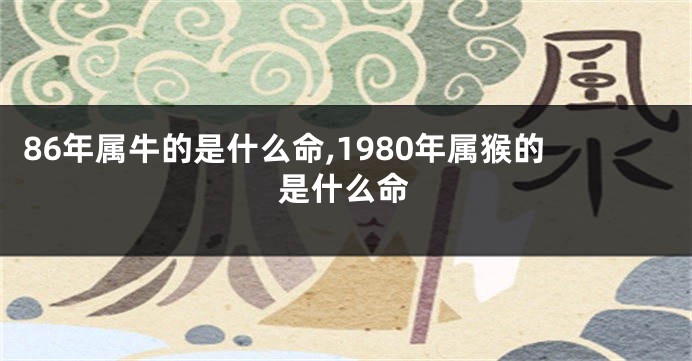 86年属牛的是什么命,1980年属猴的是什么命