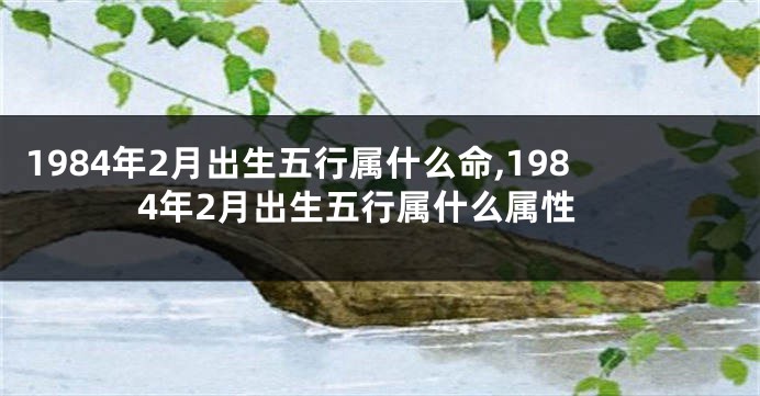 1984年2月出生五行属什么命,1984年2月出生五行属什么属性