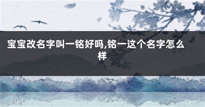 宝宝改名字叫一铭好吗,铭一这个名字怎么样