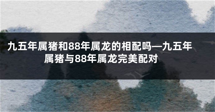 九五年属猪和88年属龙的相配吗—九五年属猪与88年属龙完美配对