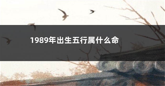 1989年出生五行属什么命