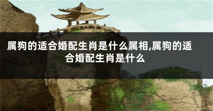 属狗的适合婚配生肖是什么属相,属狗的适合婚配生肖是什么