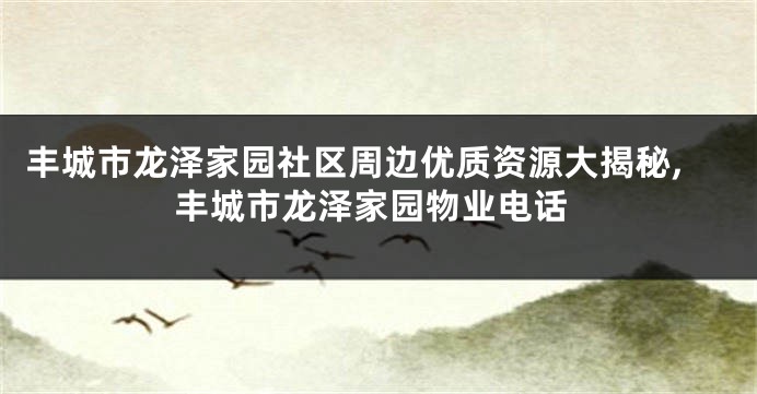 丰城市龙泽家园社区周边优质资源大揭秘,丰城市龙泽家园物业电话