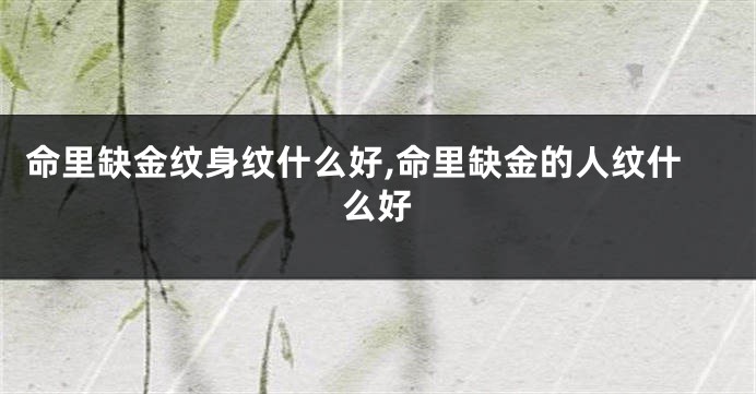 命里缺金纹身纹什么好,命里缺金的人纹什么好