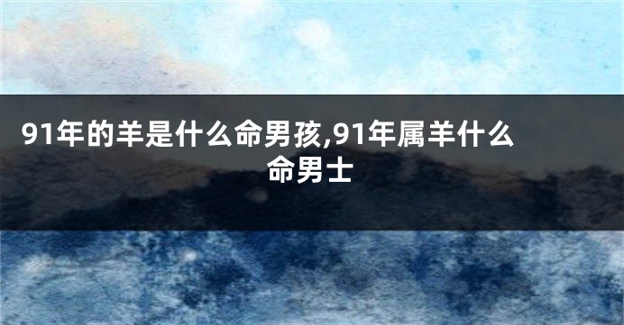 91年的羊是什么命男孩,91年属羊什么命男士